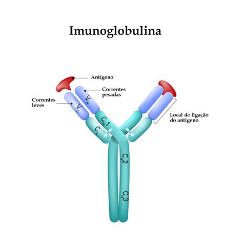 imunoglobulina humana